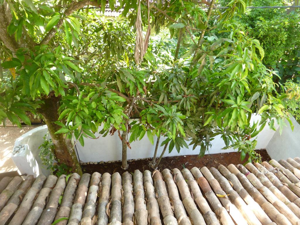 Villa أونا واتونا المظهر الخارجي الصورة